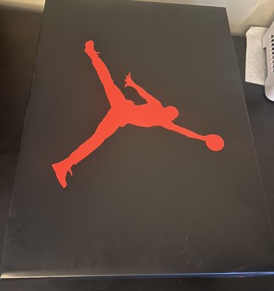 Jordan 3 black cat 9 5