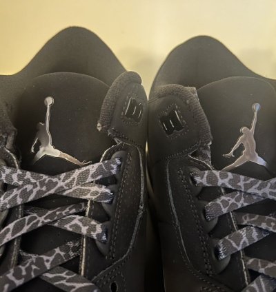 Jordan 3 black cat 9 5