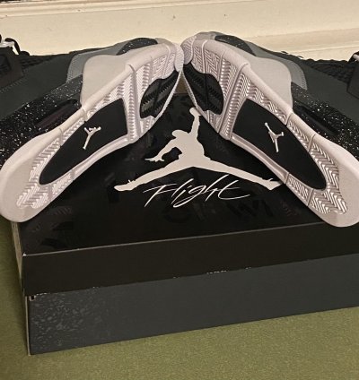 Jordan 4 Fear (2024)