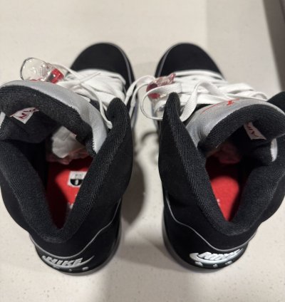 Jordan 5 Metallic