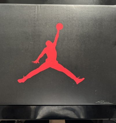 Jordan 5 Retro OG Black Metallic Reimagined