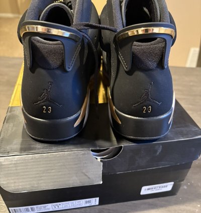 Jordan 6 Retro DMP (2020)
