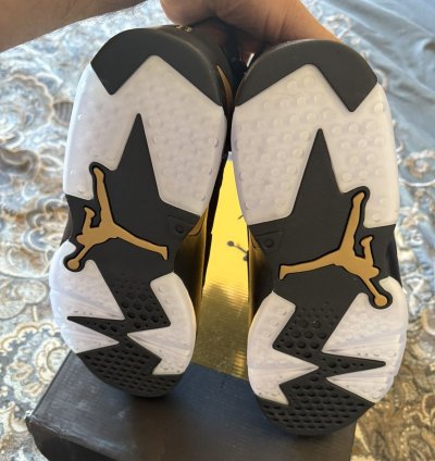 Jordan 6 Retro DMP (2020)