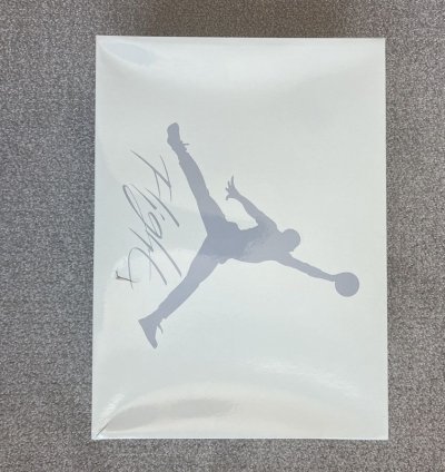 Nike sb Air Jordan 4