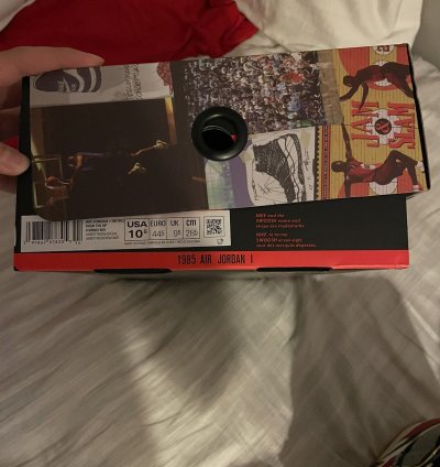 Union Jordan 1 Chicago Shadow