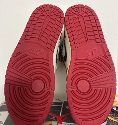Union LA Jordan 1 Chicago Shadow