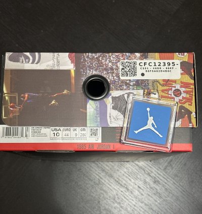 Union LA Jordan 1 Chicago Shadow