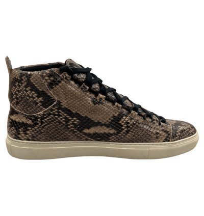 Arena High Python Effect