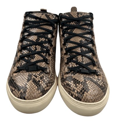 Arena High Python Effect