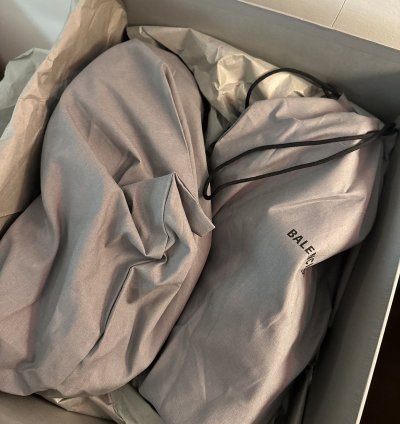 Balenciaga Steroid Low
