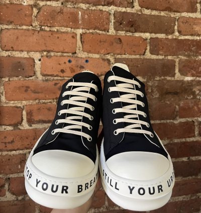 BNIB Rick Owens Ramones Low top sneakers 2023
