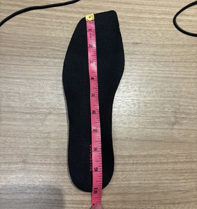 Brand New Balenciaga Tyrex Sneaker