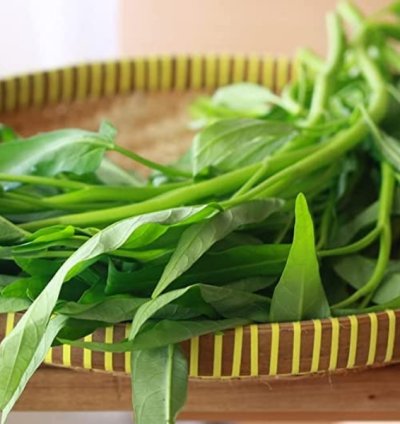 Water Spinach Seeds (Ipomoea aquatica) – Kalmi Saag Seeds for Home Gardening