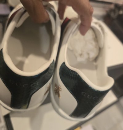 Ace Embroidered Bees and Stars Gucci Sz 15 5 US Sz 16