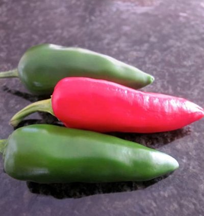 Bullet Green Chili Seeds (Capsicum annuum) – Pack of 100+ Vegetable Seeds