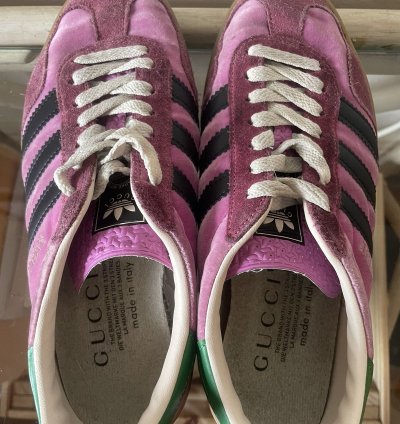 adidas Gucci