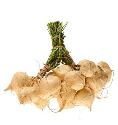 Pachyrhizus (Yam Bean) Seeds – Shankh Aloo for Home Gardening | 100+ Seeds