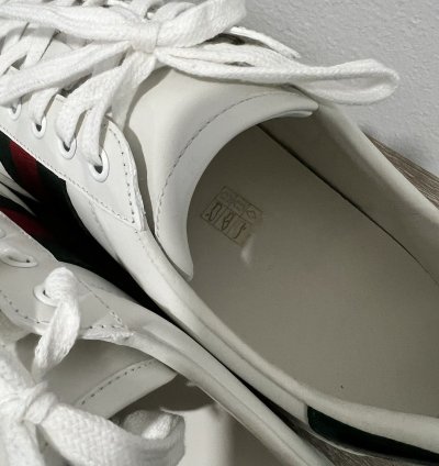 Gucci Ace Sneaker with Apple logo