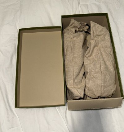 Gucci Ace Sneakers (Size 11M)