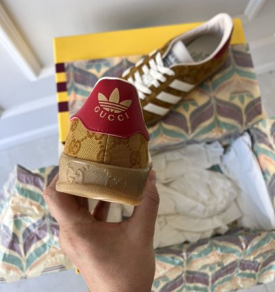 Gucci Adidas