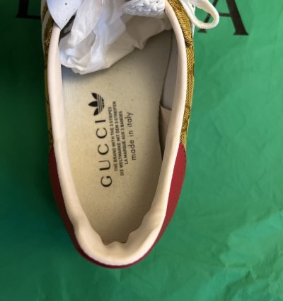 Gucci Adidas Gazelle
