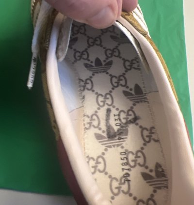 Gucci Adidas Gazelle