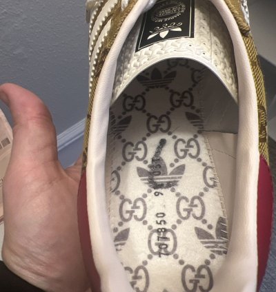 Gucci Adidas Gazelle
