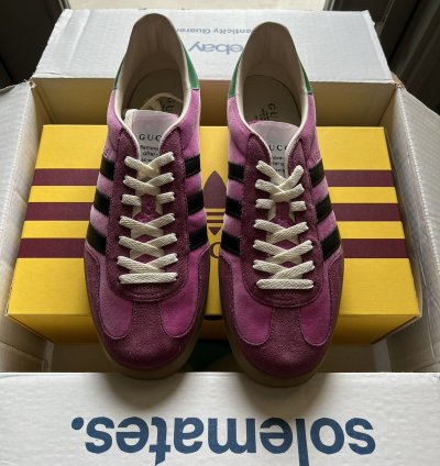 Gucci adidas Gazelle Pink