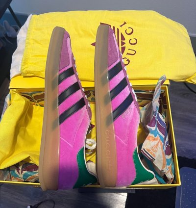 Gucci adidas Gazelle Pink