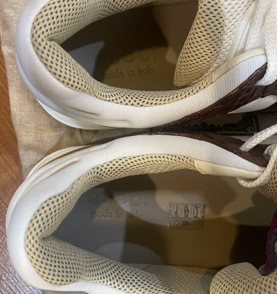 GUCCI Basket Nojum Alligator Sneaker