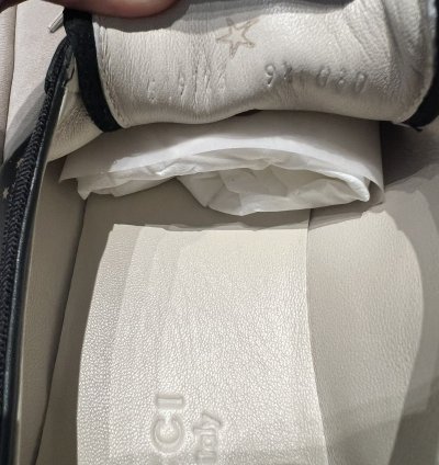 Gucci black gold star sneaker
