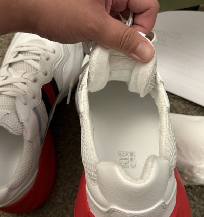 Gucci Fabric Rython Sneaker Brand New