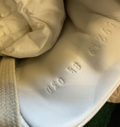 Gucci Freya Ace Shoes