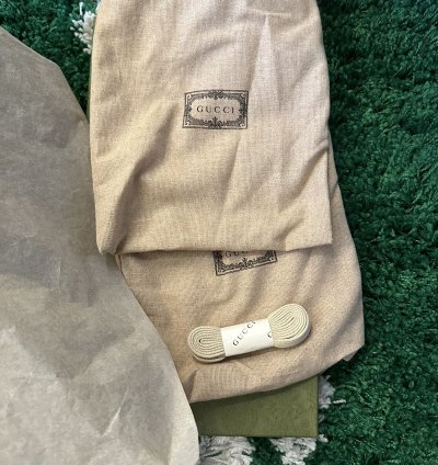 Gucci Freya Ace Shoes