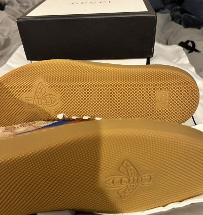 Gucci G74 Brick Red Beige