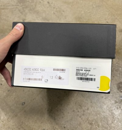 Gucci Kingsnake Ace Sneaker NEW 900