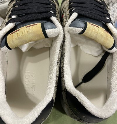 Gucci Screener Low Top