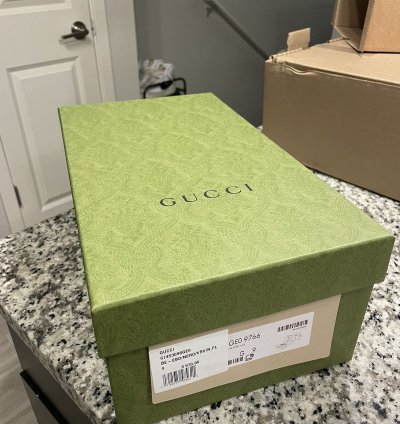 Gucci Screener Low Top