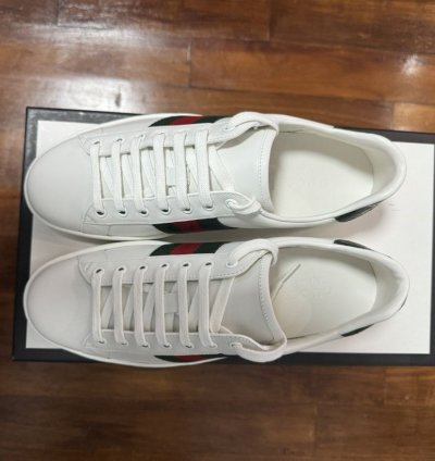 Gucci sneaker men