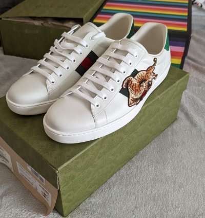 Gucci tiger aces