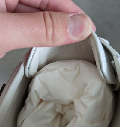 Gucci tiger aces