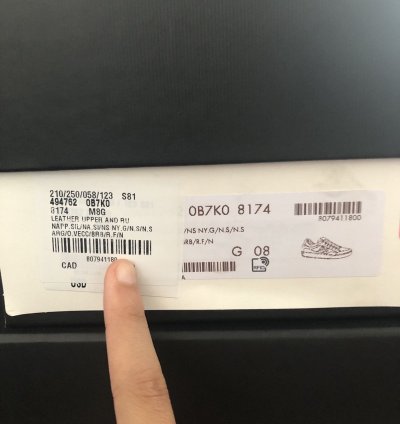 Gucci Web Leather Screener Sneakers