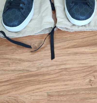 Men Ace GG Supreme Sneaker