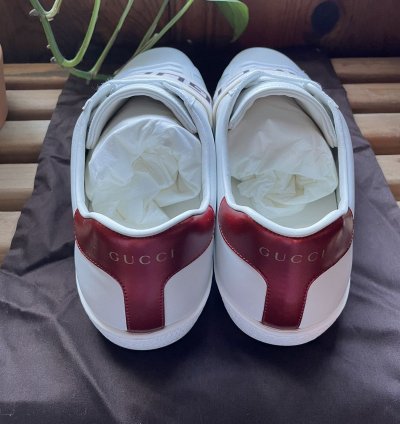 Men Ace sneaker with elastic logo strap