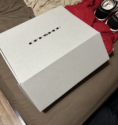 Rick owens vintage sneakers