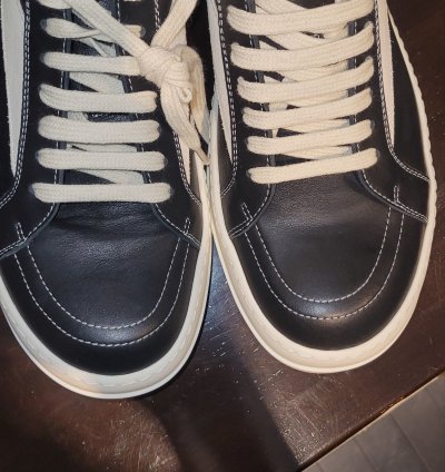Rick Owens Vintage Sneakers (Vans)
