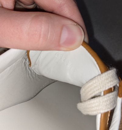 Size 14 5 Gucci Disney aces