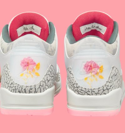 Air Jordan 3 Wings