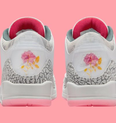 Air Jordan 3 Wings