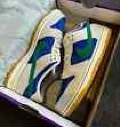 NIKE SB DUNK LOW PRO